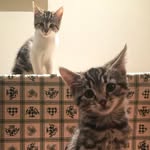 Patsy & Buck - @patsy_and_buck - Instagram