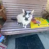 Patsy Burnett - @patsy.burnett12345 - TikTok