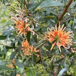 Patsy - @patsy.burton77 - Instagram