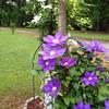 Patty Busby - @patty.busby - TikTok