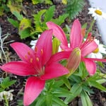 Patsy Davis Byrd - @patsydavisbyrd - Instagram