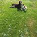 Patsy Byrne - Facebook