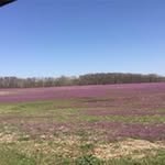 Patsy Byrnes - @byrnespatsy - Instagram