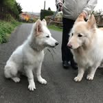 Patsybyrne66 - @patsybyrne0810 - Instagram