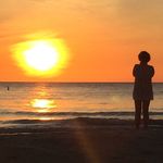 Patty Callahan Larsen - @pattycallahanlarsen - Instagram