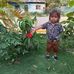 Patsy Campos Perez - Facebook