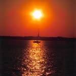 Patsy Capps - @pvcapps - Instagram