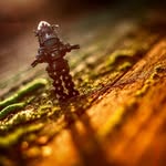 Patty Tekin-Capps - @pcappsphoto - Instagram
