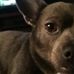 Patsy Carlisle - Facebook