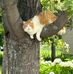 Patsy Caron - Facebook