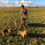 Patsy, Casper, Puky y Lulú - @4cockerspaniels - Instagram