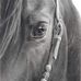 Patty Casteel - Facebook