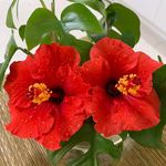 Patsy Castledine - @patsycastledine - Instagram