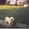 Patty Castle - @patty.castle - TikTok