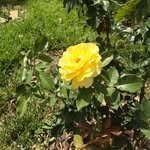 Patsy Cates - @mississippisam3 - Instagram