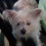 Patsy Cave - Facebook