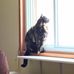 Patty Chadwick - Facebook