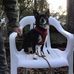 Patty F Chadwick - Facebook
