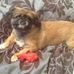 Patsy Chamberlain - Facebook