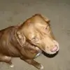 Patti Chamberlain Yo - @pattichamberlainy - TikTok