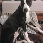 Patsy Chambers - @patsy.chambers.10 - Instagram