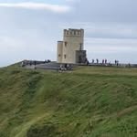 Patsy Chambers - @patsychambers288 - Instagram