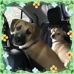 Patsy Whitman Chambers - @patsychambers14 - Instagram
