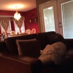 Patsy Hargis Chavis - @patsyhargischavis - Instagram