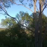 Patsy Clare - @patsy.clare.3 - Instagram