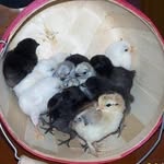Patsy Cole - @patsy.cole449 - Instagram