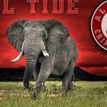 Patsy S Conner - @patsyconner89 - Instagram