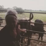 Patty Conner - @patty_conner3 - Instagram