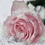 Patsy Cordova - @patsy.cordova.77 - Instagram