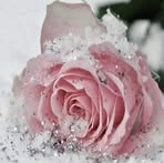 Patsy Cordova - Facebook
