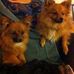 Patsy Costello - Facebook