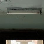 Patsy Costello - @psysycostello - Instagram