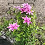 Patsy Craig - @patsy.craig.7355 - Instagram