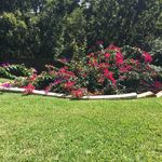 Patsy Craig - @brendonhand_55meyuf - Instagram