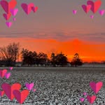 Patsy Crippen - @tisgebc7 - Instagram