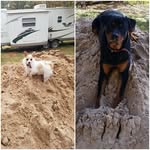 Patsy Crouch - @patsycrouch - Instagram