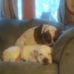 Patty Fletcher-Cupp - Facebook