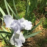 Patsy Dalton - @patsydalton95 - Instagram