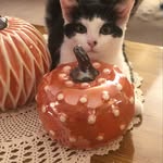 patsy Dalton - @patsydalton - Instagram