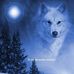 Patty Dalton - Facebook
