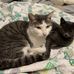 Patsy Darnell - Facebook