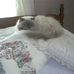Patty Darnell - Facebook