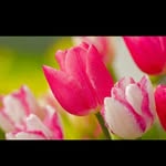 Patsy Davidson💜 - @patsy_davidson - Instagram