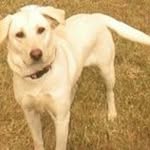 Patsy Davidson - @jdrules22 - Instagram