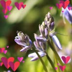 Patsy Davidson - Facebook