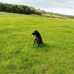 Patsy Davidson - @patsy.davidson.752 - Instagram